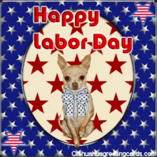 Labor Day Happy Labor Day GIF - Labor Day Happy Labor Day Chihuahua GIFs