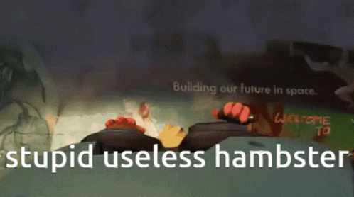 Useless Stupid GIF - Useless Stupid Hamster GIFs
