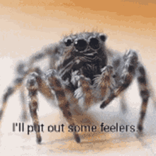 Put Out GIF - Put Out Feelers GIFs