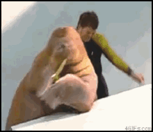 Walrus Can Boogie GIF - Dance Walrus Saxaphone GIFs