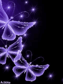 butterflies purple