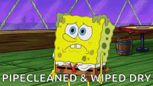 Cleanpipes Sponge GIF - Cleanpipes Sponge Bob GIFs