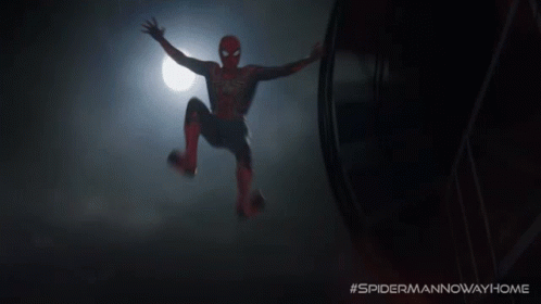 spider-man-landing-spider-man.gif