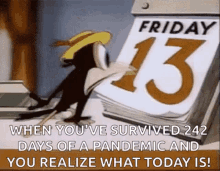 Scared Black Crow GIF - Scared Black Crow Friday The Thirteenth GIFs