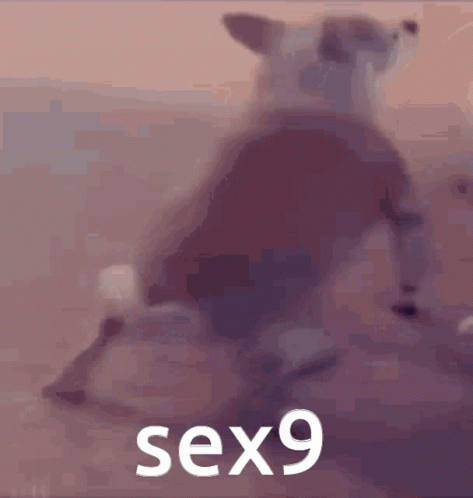 Sex9
