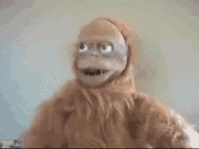 confused-monkey.gif