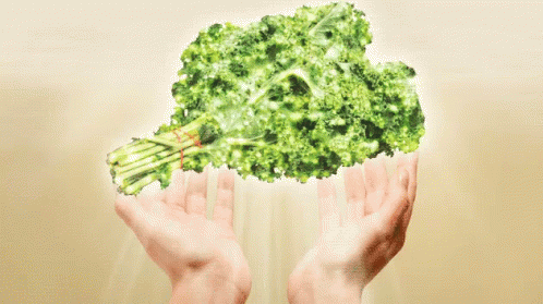 holy-kale-kale.gif