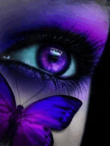 Butterfly Eye GIF - Butterfly Eye GIFs