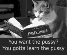 Pussy You Want The Pussy GIF - Pussy You Want The Pussy You Gotta Learn The Pussy GIFs