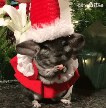 Eating Treat GIF - Eating Treat Christmas Costume GIFs