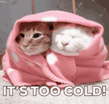 Its Too Cold Blanket GIF - Its Too Cold Blanket Tucked In GIFs
