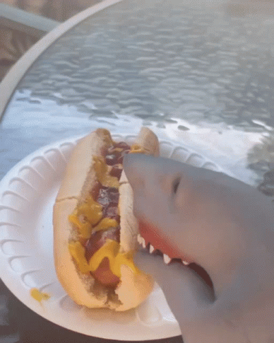 Shark Puppet Hot Dog GIF - Shark Puppet Hot Dog Glizzy GIFs