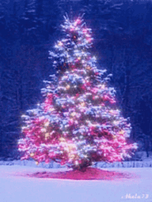 Spin Merry Christmas GIF - Spin Merry Christmas Tree GIFs