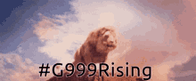 G999 G999rising GIF - G999 G999rising Lion Roar GIFs