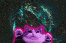 Cat Colors GIF - Cat Colors Space GIFs