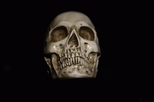 Skull GIF.