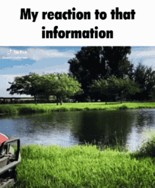 Guy Walks Into River My Reaction To That Information GIF - Guy Walks Into River My Reaction To That Information GIFs