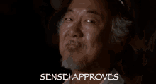 Sensei Approves GIF - Sensei Sensei Approves Karate Kid GIFs