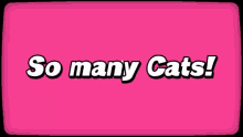 So Many Cats Stars GIF - So Many Cats Stars Pink GIFs