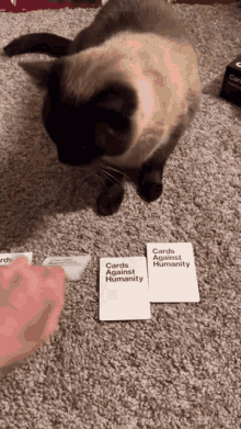 Cards Meff GIF - Cards Meff GIFs