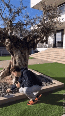 ohhh gifs raoul really dude ohhh gifs raoul really dude