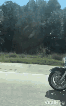 Stunt Motorcycle GIF - Stunt Motorcycle Lay Back GIFs