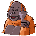 Orangutan Telegram Orangutan Sticker - Orangutan Telegram Orangutan Orang Hi Stickers