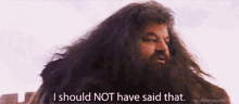 Hagrid Harry Potter GIF - Hagrid Harry Potter I Should Not Have Said That GIFs
