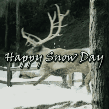 Reindeer Snow GIF - Reindeer Snow Day GIFs