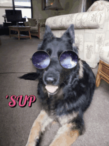 Hi Sup GIF - Hi Sup Sun Glasses GIFs