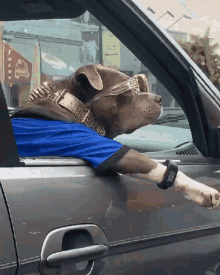 Whats Up Hello GIF - Whats Up Hello Dog GIFs