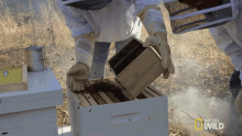 Bees Insect GIF - Bees Insect Moving Bees Cage GIFs