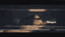 polina polina petrova polina vanguard polina polina petrova polina vanguard