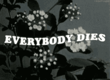 Death Inevitable GIF - Death Inevitable Everybody Dies GIFs