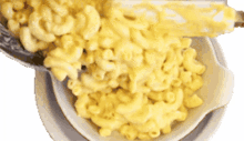 mac n cheese pasta macaroni and cheese mac and cheese food