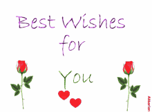 Animated Greeting Card Best Wishes GIF - Animated Greeting Card Best Wishes For You GIFs