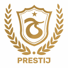 tsprestij football