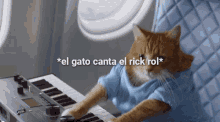 Piano Gato GIF - Piano Gato Rick GIFs