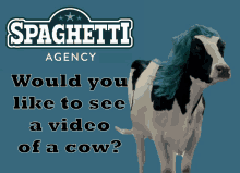 Spaghetti Agency Send Them A Cow GIF - Spaghetti Agency Send Them A Cow Cow GIFs