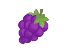 fruit grapes