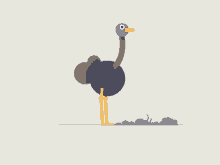 Ostrich Bird GIF - Ostrich Bird Framesequence GIFs