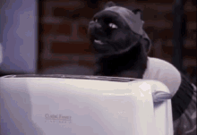 Zap Cat GIF - Zap Cat Toaster GIFs