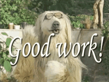 Good Work GIF - Clapping Goodwork Dogs GIFs