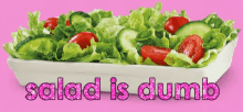 Salad Is Dumb Lol GIF - Salad Is Dumb Salad Lol GIFs