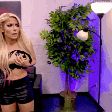 Alexa Bliss Topless GIF - Alexa Bliss Topless Covering Up GIFs