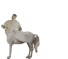 horse pegasus