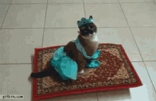 Cat Aladdin GIF - Cat Aladdin Princess GIFs
