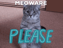 meoware please madebycold give