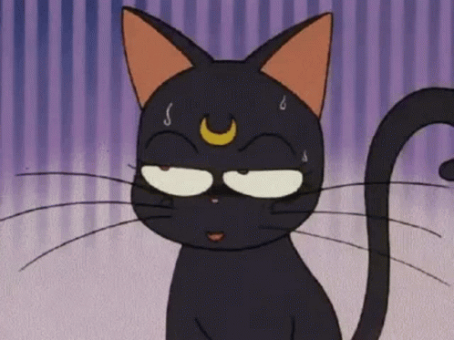 Luna Sailor Moon Gif Luna Sailor Moon Cat Discover Share Gifs