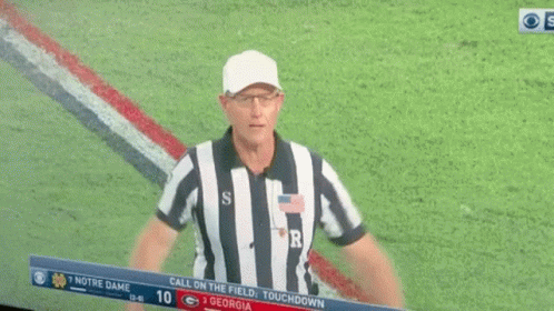 touchdown-referee.gif